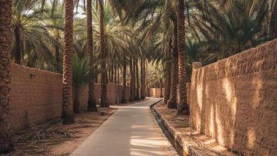 Inside Al Ain Oasis at mid-morning: a paved shaded walking path runs between dense rows of mature date palms with tall slender trunks, mud-brick walls bordering individual palm farms on both sides, and a small open falaj irrigation channel running alongside with water flowing visibly